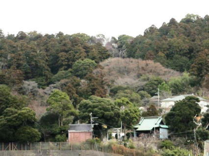 建長寺の灯籠＝朱雀や青龍が彫られている